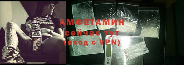 прущие грибы Абинск