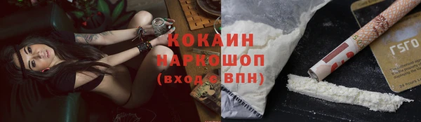 прущие грибы Абинск