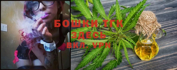 прущие грибы Абинск