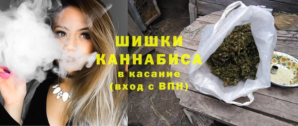 прущие грибы Абинск