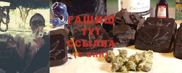 прущие грибы Абинск
