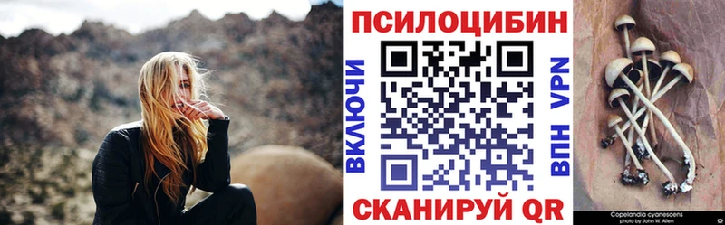 дарк нет какой сайт  закладка  Сухиничи  Псилоцибиновые грибы GOLDEN TEACHER  OMG tor 